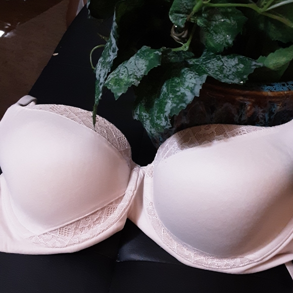 Pair of 38C bras - Picture 5 of 6